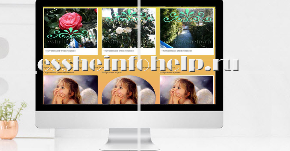 Одностраничник пример html шаблон сайт изображения картинки фотографии видеоролики